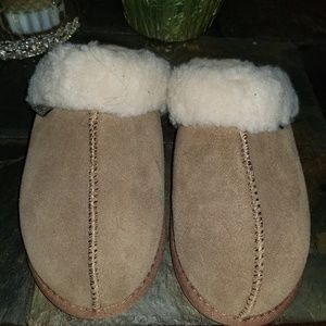 Bear Paw slippers